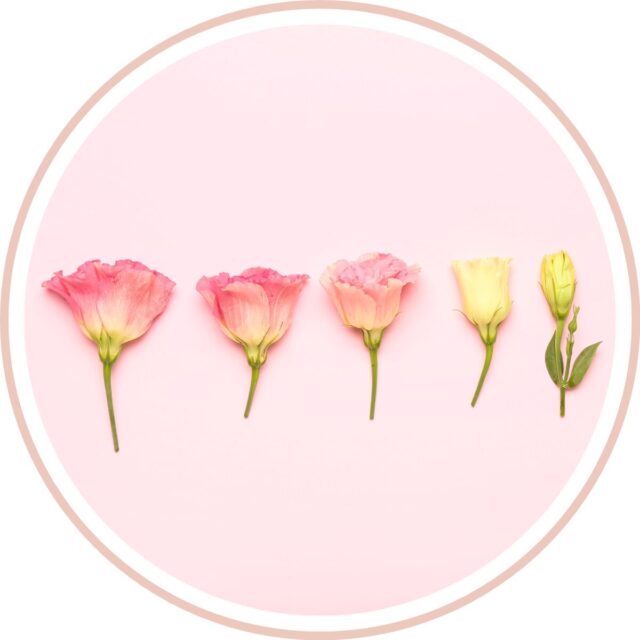https://wellnessbusinesscollective.com/wp-content/uploads/2025/05/insight-timer-headshot-4-640x640.jpg
