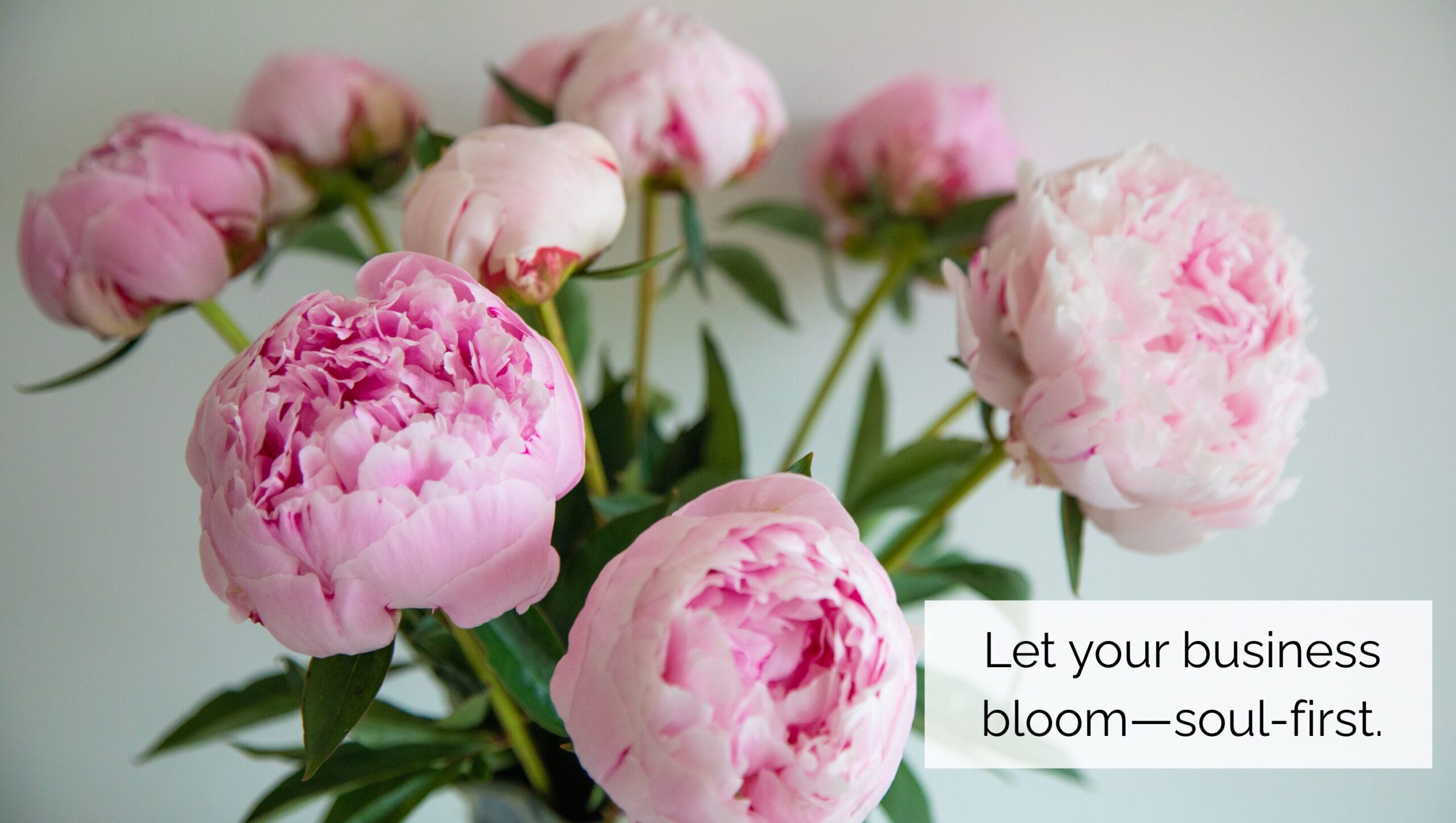 https://wellnessbusinesscollective.com/wp-content/uploads/2025/05/peonies-2-1.jpg